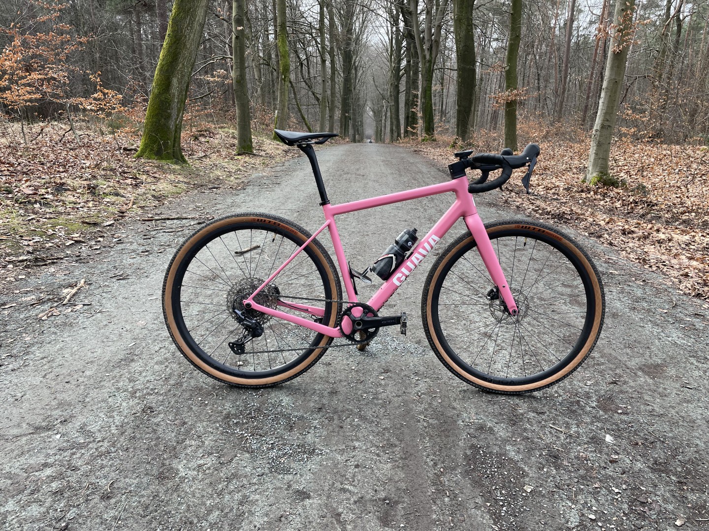 Guava Spot
